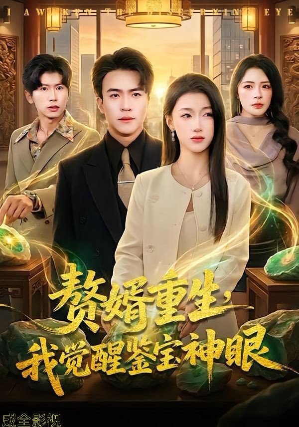 赘婿重生，我觉醒鉴宝神眼